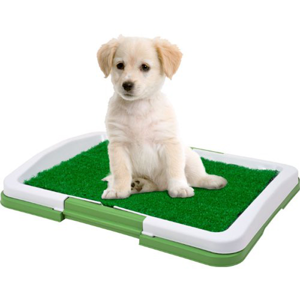 Puppy-Potty-Trainer-The-Indoor-Restroom-for-Pets