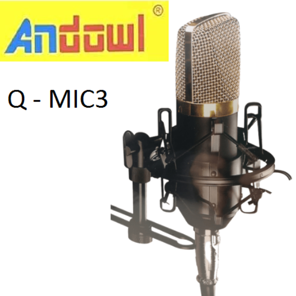 Q-MIC3__1