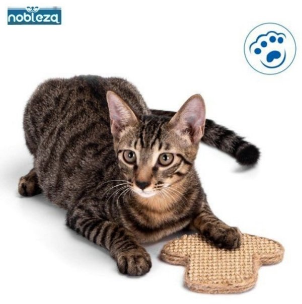 cat_mushroom_1_zcnt-60