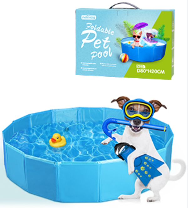 dog_pool_2_qj6j-r8