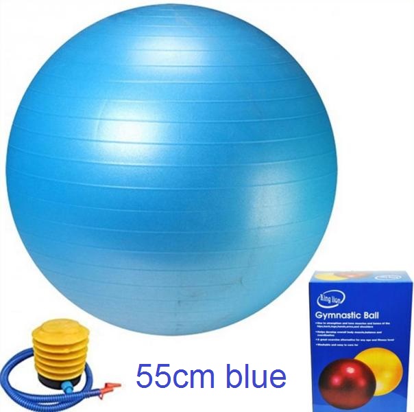 gym_ball_55cm_BLUE__1_c97i-zn
