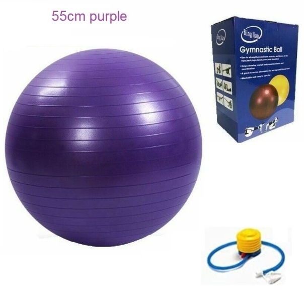 gym_ball_55cm_purple_1_co6n-ge