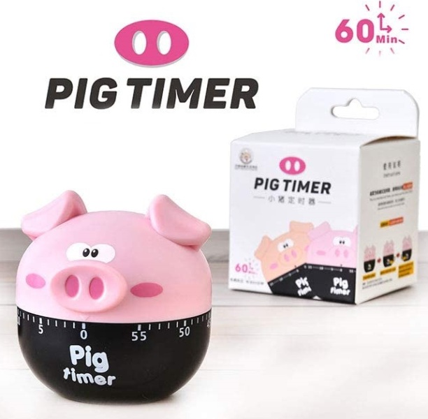 pig_timer_3