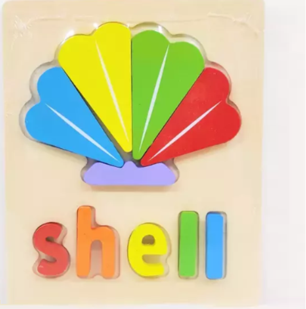 shell_puzzle_1_yqdu-8m