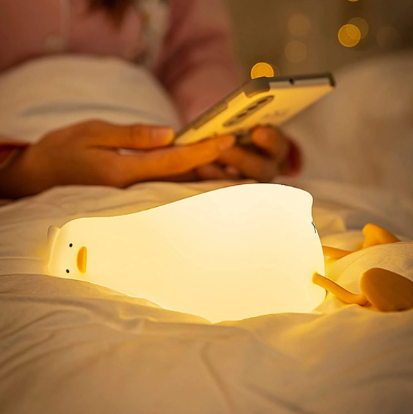 sleeping_duck_9161-35