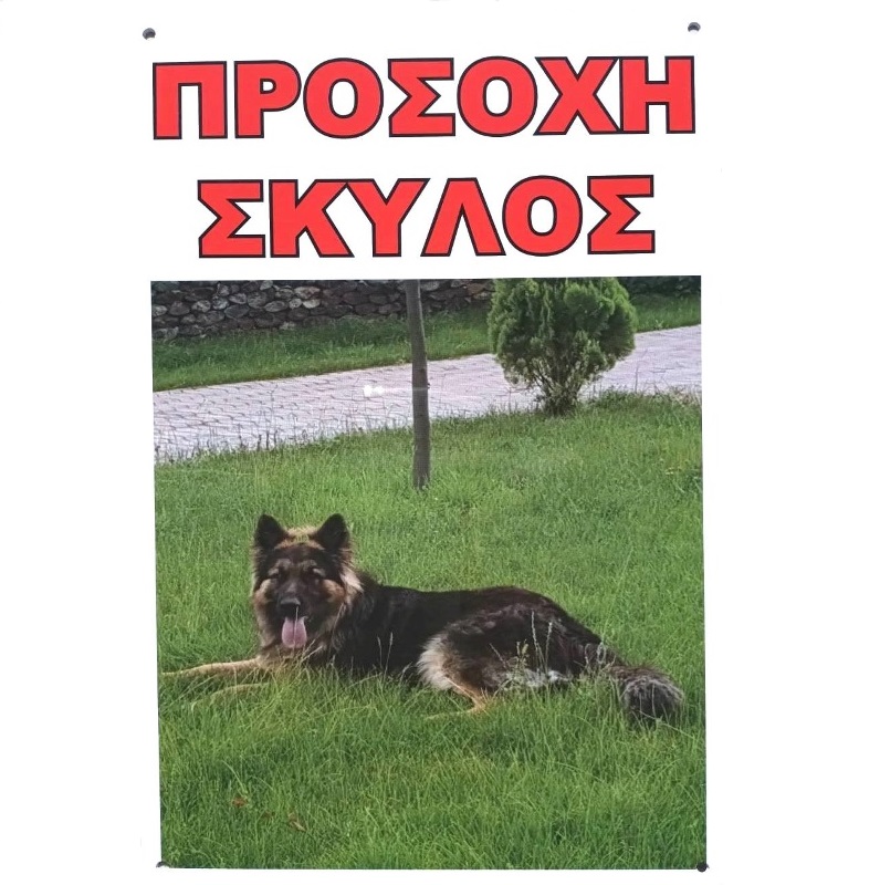 tampela_dog_ijuw-bu